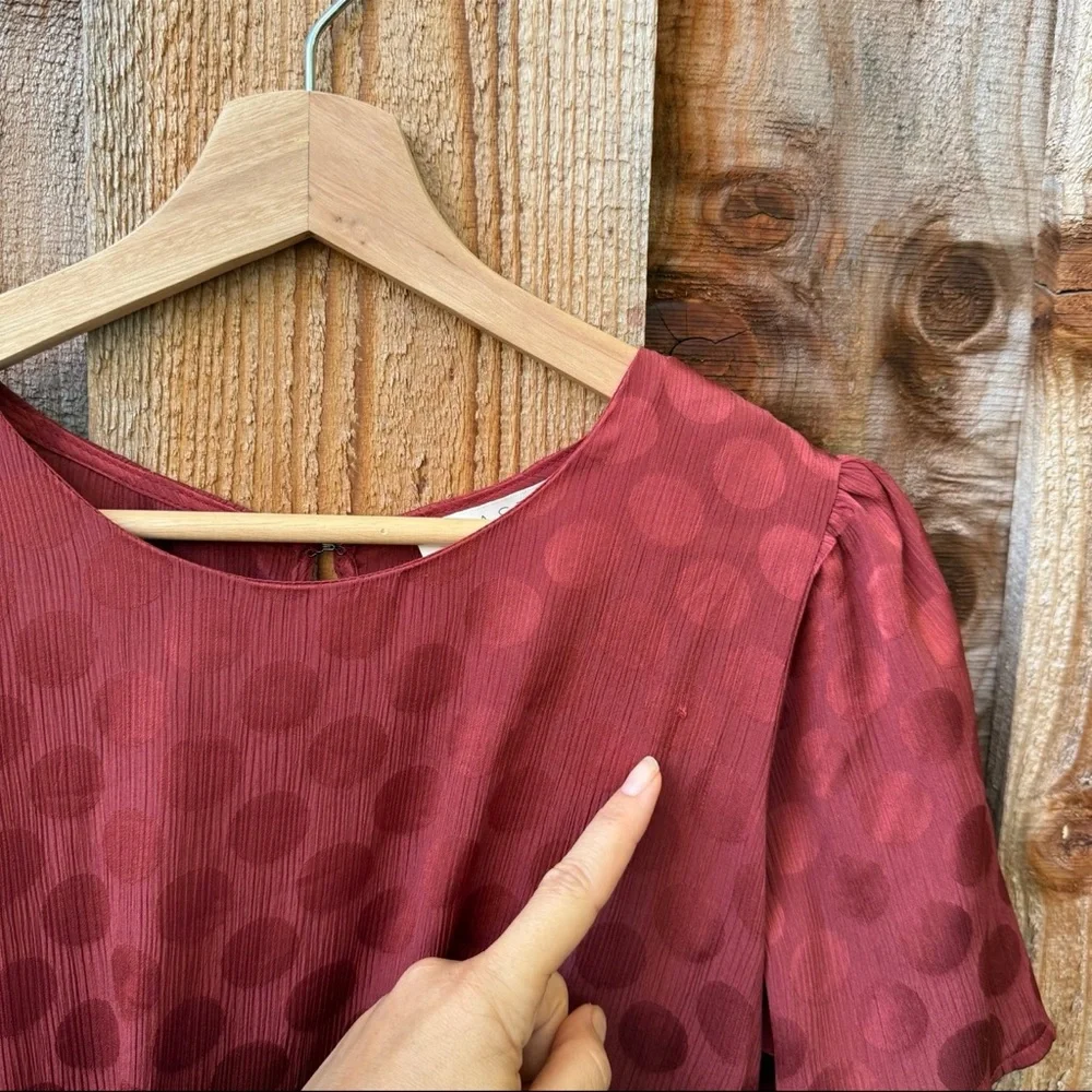 The ASTR the Label Ebony Rust Red Polka Dot Midi Dress 🌿 - Picture 9 of 12